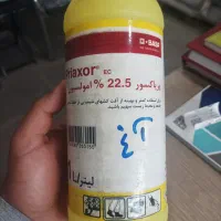 پریاکسور و مگافیل
