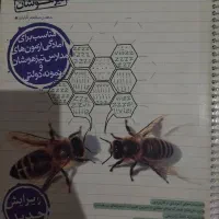 علوم نهم تیزهوشان خیلی سبز