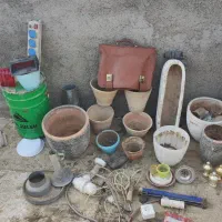 گلدان|گل و گیاه طبیعی|تهران, خاوران|دیوار