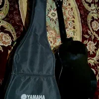 گیتار|گیتار، بیس، امپلیفایر|کوهدشت, |دیوار