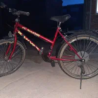 یک دودو چرخه سالم