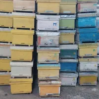فروش کندوی زنبور عسل
