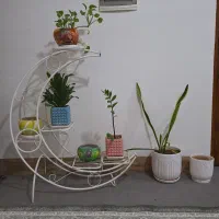 استندگل همراه با گل و گلدان