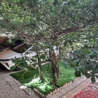 خانه ویلایی دو طبقه  نزدیک حرم هاشمی نژاد