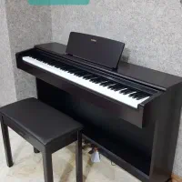 همکار خانم مسلط به اینستاگرام