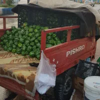 سه چرخ پیشرو