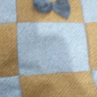 پخش کیف|کیف، کفش، کمربند|خاوران, |دیوار