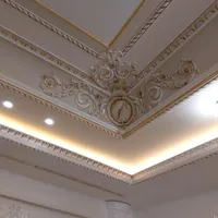 نماینده رسمی سقف لابل۱۲ سال گارانتی|خدمات پیشه و مهارت|تربت‌حیدریه, بوستان باغ ملی|دیوار