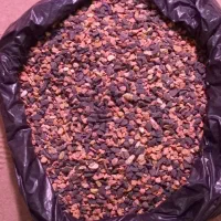 سنگ اکواریوم|ماهی|اردبیل, |دیوار