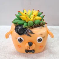 گلدان های فانتزی|کلکسیون و سرگرمی|قم, هنرستان|دیوار