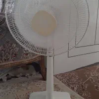 پنکه