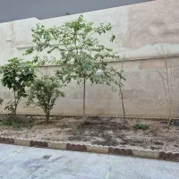 آپارتمان 92متر دو خواب|فروش آپارتمان|ری, شهادت|دیوار