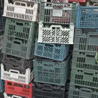 سبد جای میوه