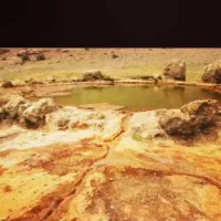 دستیار عکاسی