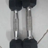 دنبل یک کیلوی|تجهیزات ورزشی|مشهد, شهید بهشتی|دیوار