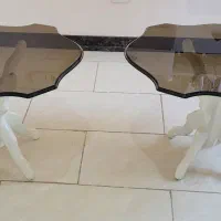 ۲عدد میزعسلی پایه چوبی و میزشیشه ای