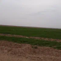 فروش زمین زراعی