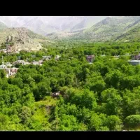 تور گردشگری