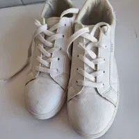 سلام کفش درحدنو نو