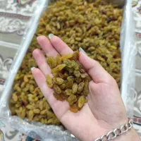 کشمش سبز کاشمر