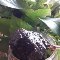 رب انار ترش وسیاه خانگی کیلویی ۸۰۰ تومان