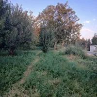 باغچه الوان بر آسفالت تازه کندقشلاق ۸۰۰ متر|فروش زمین و ملک کلنگی|ارومیه, |دیوار