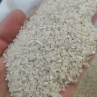 نیم دانه کشت دوم طارم هاشمی شمال|خوردنی و آشامیدنی|اصفهان, هوانیروز|دیوار