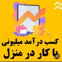 کسب درآمد آنلاین ظرفیت محدود|استخدام رایانه و فناوری اطلاعات|همدان, |دیوار