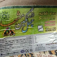 فرش نو|فرش|نیشابور, شهرآرا|دیوار