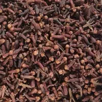 پخش عمده تخم گشنیز اعلا و رازیانه سبز اعلا وغیره|خوردنی و آشامیدنی|تهران, تهرانسر شمالی|دیوار