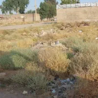 زمین وزیرآباد|فروش زمین و ملک کلنگی|شیراز, وزیرآباد|دیوار