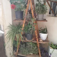استند گل