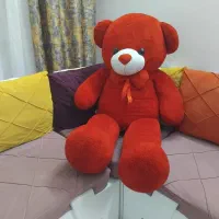 شاسخین و تیوپ