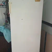 یخچال فریزر ارج