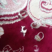 انگشتر نقره و گردنبد|جواهرات|بیجار, |دیوار