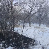 باغ دهکده توریستی خاکو