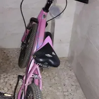 دوچرخه دخترانه سایز ۲۰