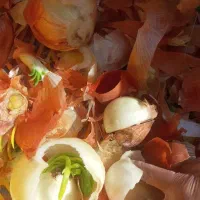 فروش ضایعات پیاز وسبزی