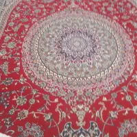 یک عدد یخچال ، فرش و میزTV|یخچال و فریزر|ویسیان, |دیوار