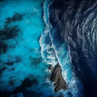 مربی شنا خانم