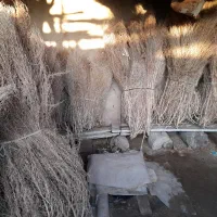 جارو|لوازم نظافت|خوی, |دیوار