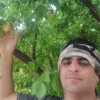 باغ ۱۵ ساله کامل با برق فنس کشی کامل و نگهبان