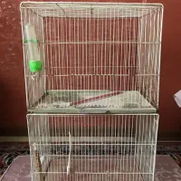 قفس پرنده