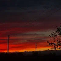 اجاره زمین کشاورزی دیم