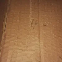 خرید کارتن وکتاب وضایعات|عمده‌فروشی|شیراز, دارالرحمه|دیوار