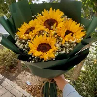 تخفیف ویژه گل آفتاب گردون|گل و گیاه طبیعی|تهران, شکوفه|دیوار