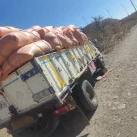 خاور|خودرو سنگین|گالیکش, |دیوار