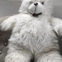 شاسخین