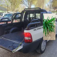 گل طبیعی ـ وانت خالی