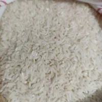 برنج|خوردنی و آشامیدنی|فریدون‌کنار, |دیوار